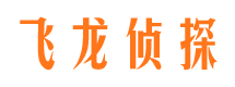 禅城侦探